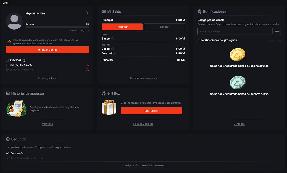 página de perfil de pin up