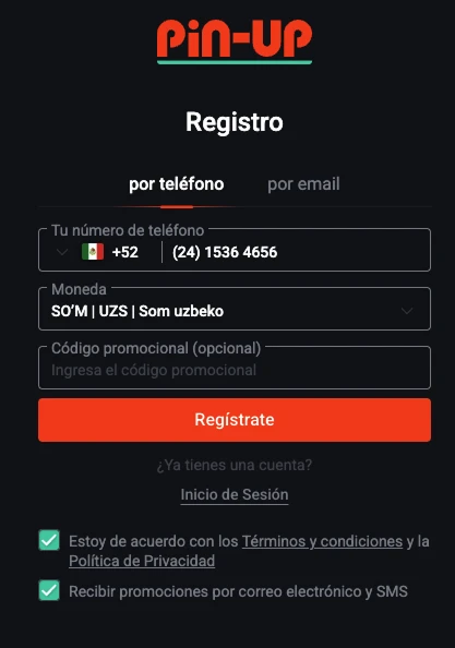 ventana de registro pin up