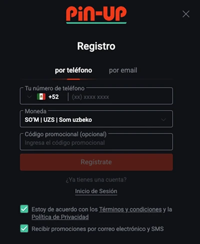 pin up registration window